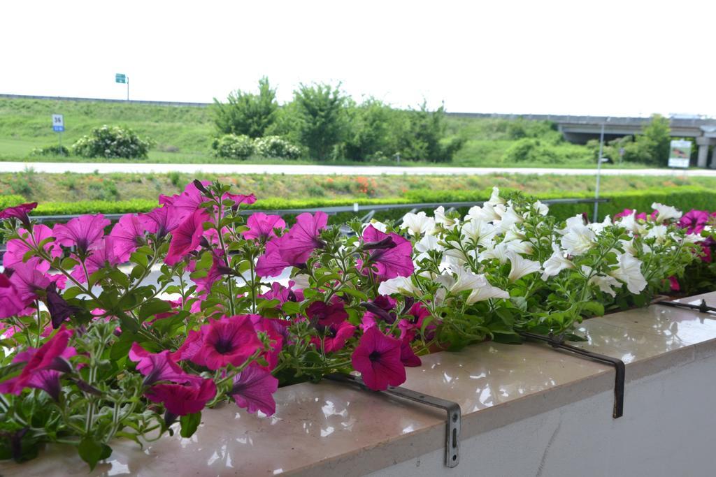 Hotel Petrarca Boara Pisani エクステリア 写真